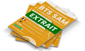 Extrait de fiches de révision BTS SAM, idéal pour préparer votre lettre de motivation. Support complet avec avis étudiants.