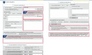 Formulaire administratif pour une demande de place en établissement ou service d'aide par le travail (ESAT), incluant des questions sur la situation professionnelle et le handicap.
