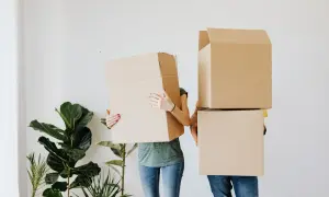 Couple déménageant, cachant leurs visages derrière des cartons. Ils préparent leur lettre changement d'adresse CAF.