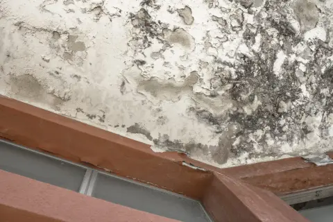 Plafond dégradé par un dégât des eaux, avec peinture écaillée et moisissures. Le syndic doit intervenir.