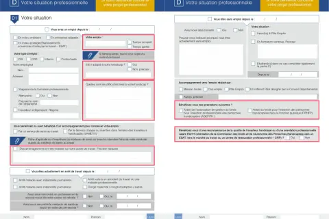 Formulaire administratif pour une demande de place en établissement ou service d'aide par le travail (ESAT), incluant des questions sur la situation professionnelle et le handicap.