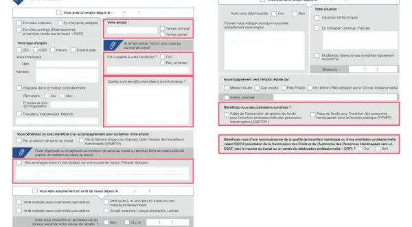 Formulaire administratif pour une demande de place en établissement ou service d'aide par le travail (ESAT), incluant des questions sur la situation professionnelle et le handicap.